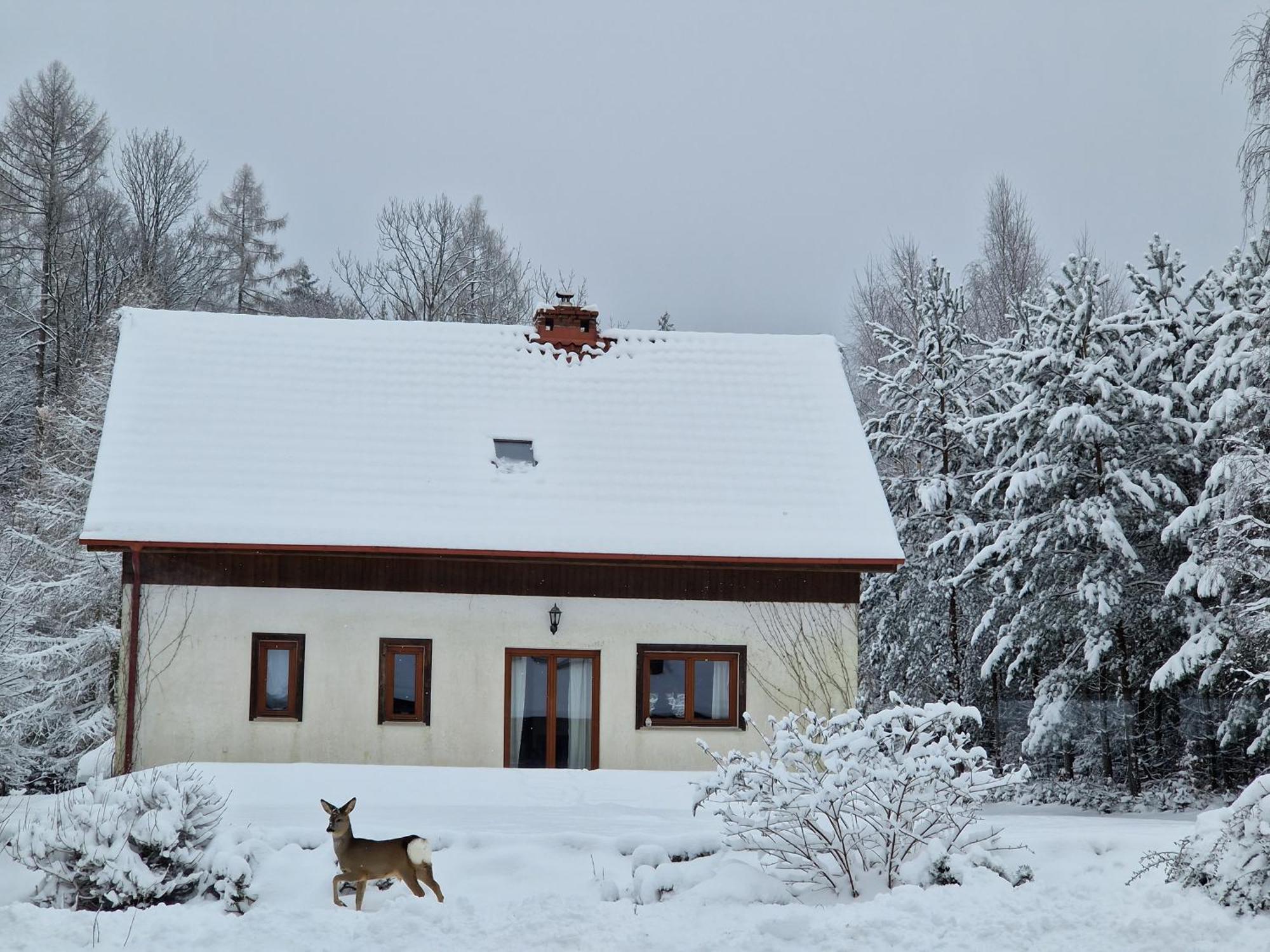 Dom Na Pstraznicy Villa กูโดวาสโดรยจ์ ภายนอก รูปภาพ